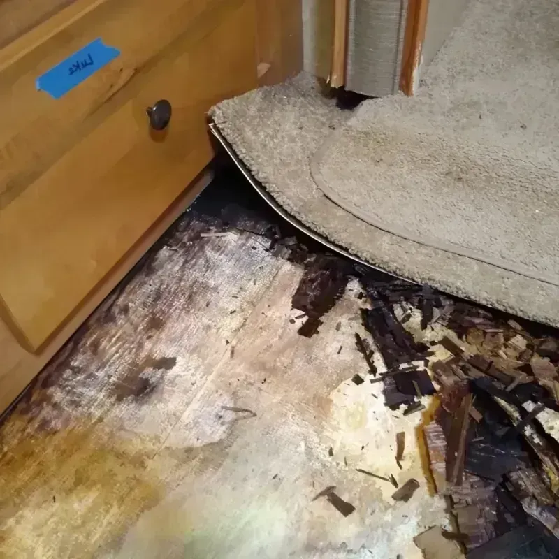 Wood Floor Water Damage in Federal Way, WA